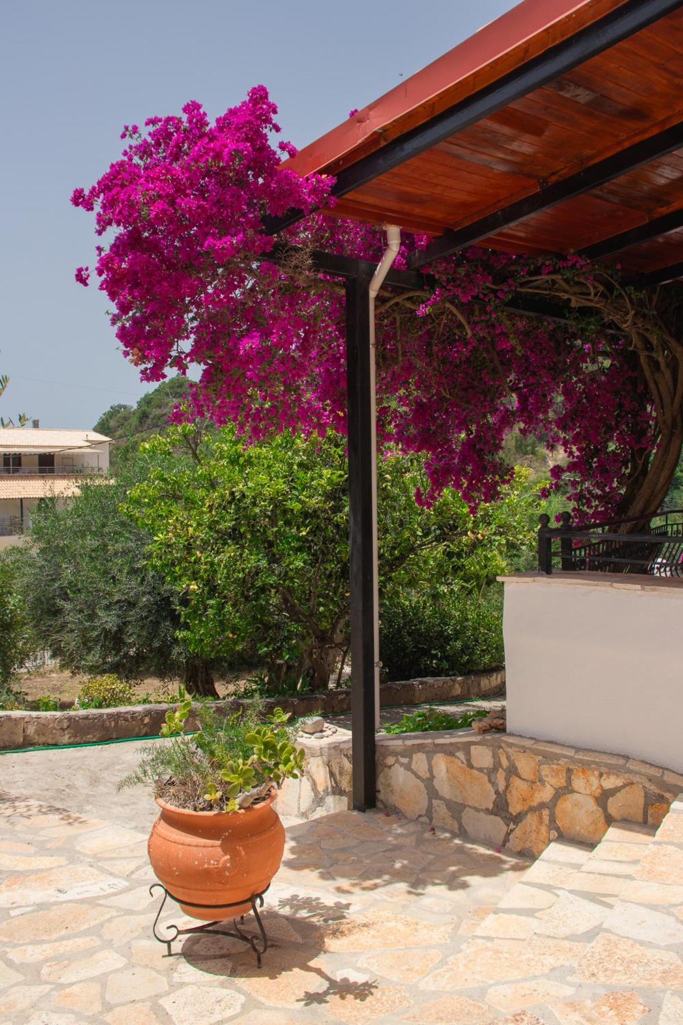 Villa Sissy Studios & Apartments Sívota 外观 照片